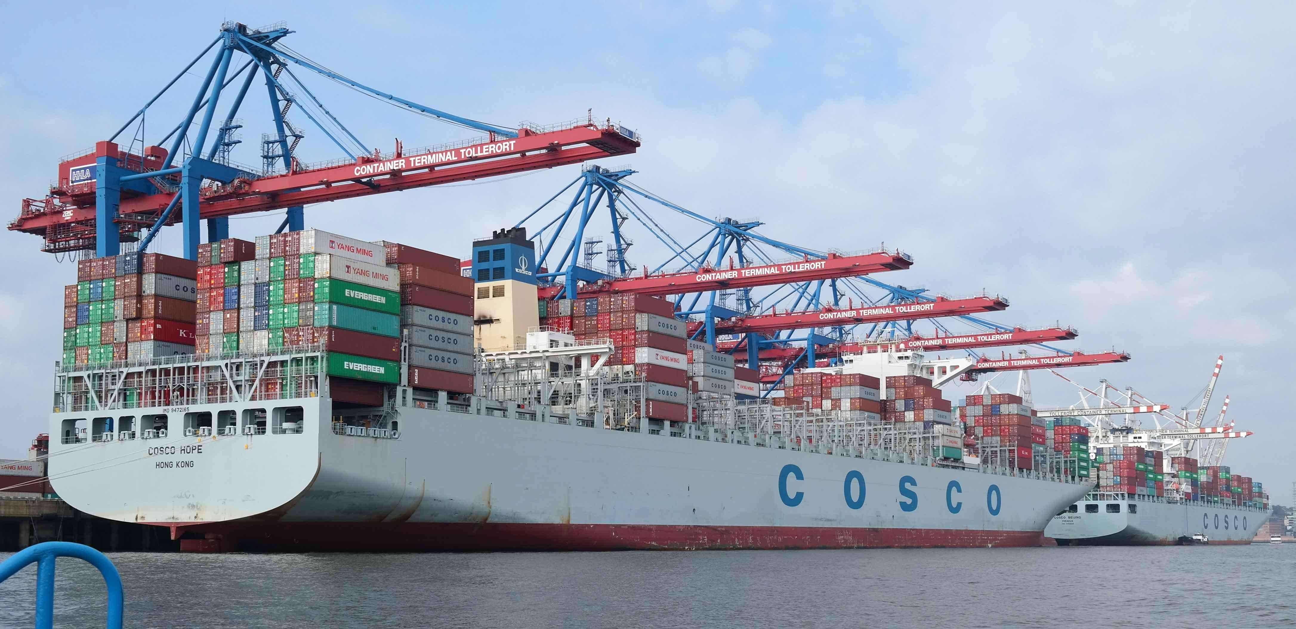 美森 VS COSCO 海運時效差在哪？定提服務(wù)揭
